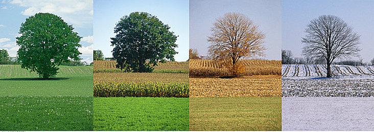 索尼总裁感叹PlayStation缺乏新IP 玩家却想要《血源》新作