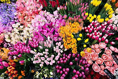 传闻：《堡垒之夜》将联动《英雄联盟》推出金克丝皮肤 