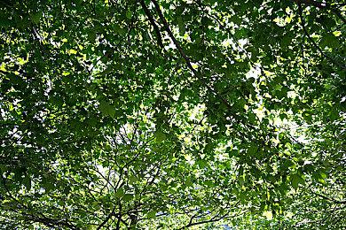 Xbox菲尔·斯宾塞去年购买了PS5 并被强制捆绑了一款游戏