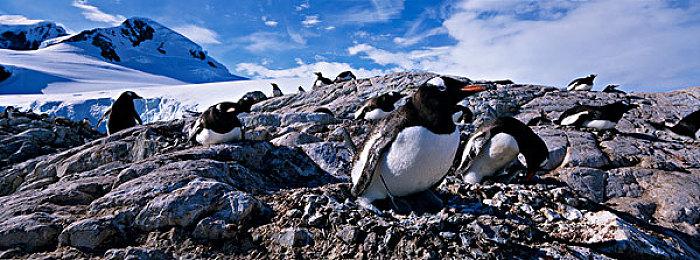 KK对战平台人气新图来袭！二次元＆武侠总有一款是你的菜！